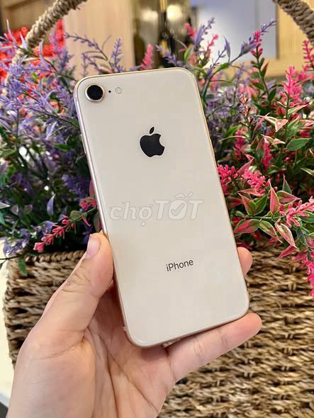Apple iPhone 8 64GB Vàng Đã sử dụng. Mua bán Điện thoại tại Quận 5 Tp Hồ Chí Minh được đăng bởi Hội Đồ Điện Tử hình 1