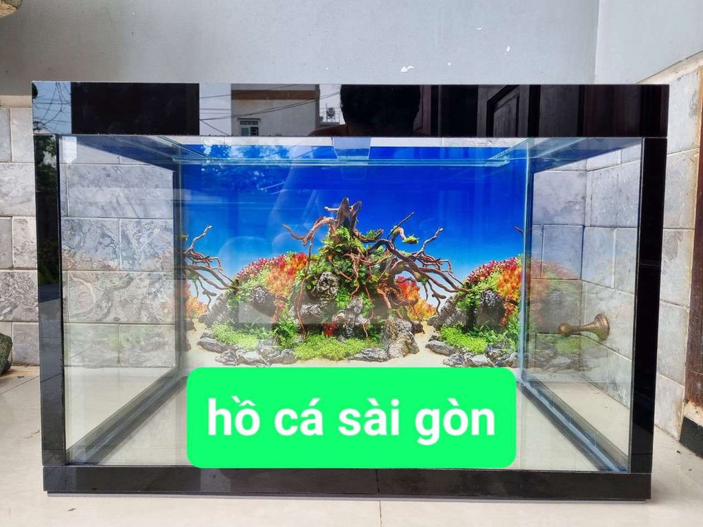 Hồ cá ,bể kính 80x40 cao 50cm (nhận làm hồ). Mua bán Phụ kiện, Thức ăn, Dịch vụ tại Quận 12 Tp Hồ Chí Minh được đăng bởi Hồ Cá Sài Gòn hình 1