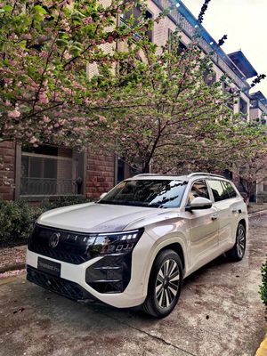 Volkswagen Teramont Pro SUV Trắng Pure Đức