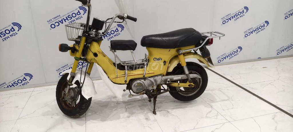 Honda Chaly 81, японское золото, до 50 куб. см