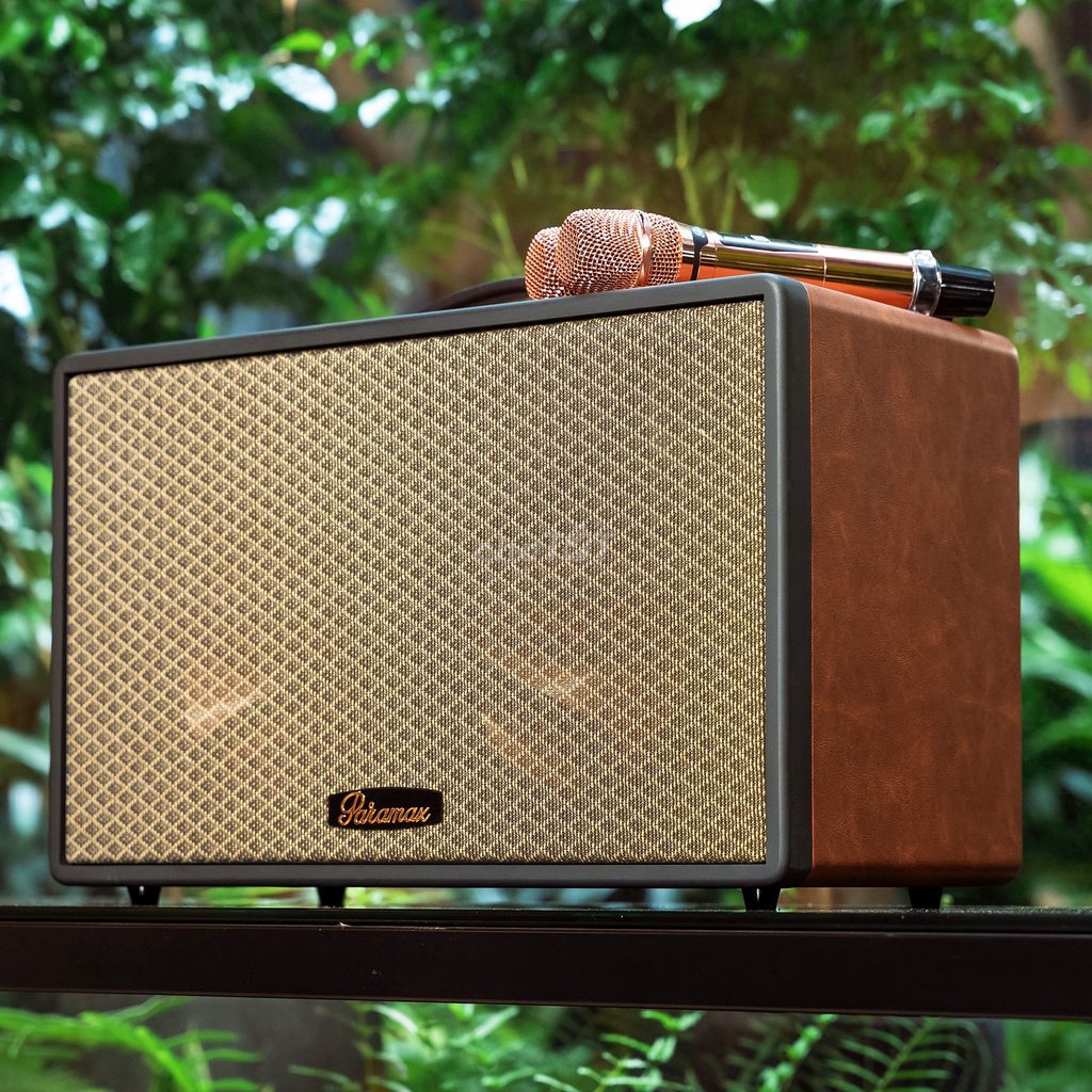 Loa xách tay Paramax Saga New. Mua bán Tivi, Âm thanh tại Quận Tân Bình Tp Hồ Chí Minh được đăng bởi Gia Vị Nhà Bếp hình 1