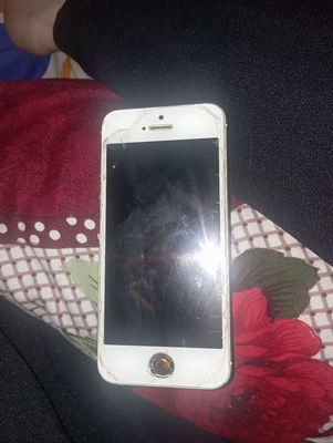 Apple iPhone 5 Trắng. Mua bán Điện thoại tại Quận Bình Thạnh Tp Hồ Chí Minh được đăng bởi Thành Đạt