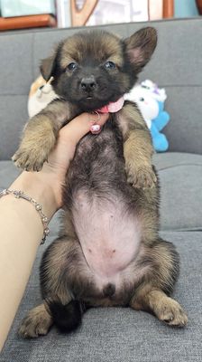 Bé gái Nhật lai xin chào sen yêu😁😁😁😁