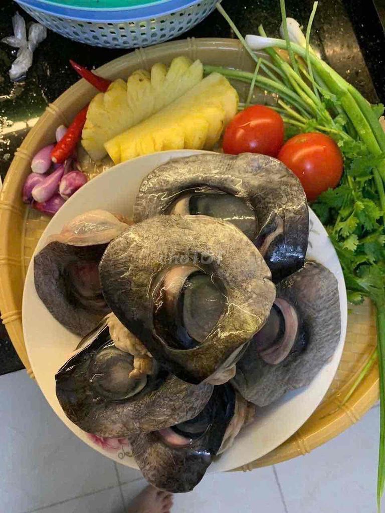 Mắt cá ngừ đại dương 4-5 con/kg. Mua bán Đồ ăn, thực phẩm và các loại khác tại Quận Hải Châu Đà Nẵng được đăng bởi Ms Phương hình 1