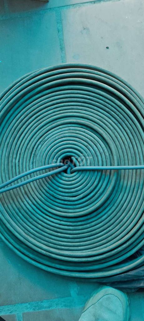 Dây cáp thang máy đã sử dụng. Mua bán Đồ chuyên dụng, Giống nuôi trồng tại Quận Tân Bình Tp Hồ Chí Minh được đăng bởi Lực Nguyễn hình 1