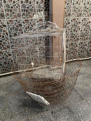 bội gà, chuồng thú cưng. Mua bán Phụ kiện, Thức ăn, Dịch vụ tại Quận 6 Tp Hồ Chí Minh được đăng bởi Trần Thị Mai