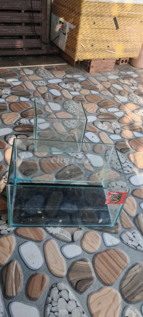Bể cá cảnh Kính trong suốt. Mua bán Phụ kiện, Thức ăn, Dịch vụ tại Huyện Cần Giuộc Long An được đăng bởi văn dũng hình 1