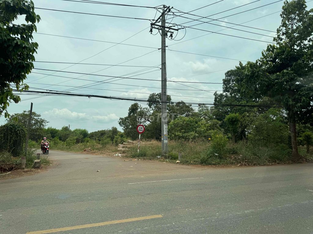 Đất thổ cư. ĐT: 20000m2, đất trồng cây khu dân cư, đường Lê Hồng Phong