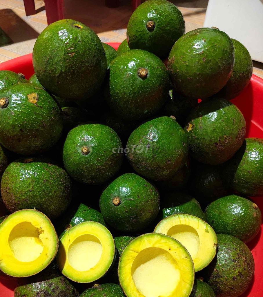 BƠ GIA LAI - 128515990