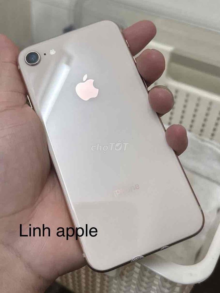 Apple iPhone 8 8GB Vàng hồng. Mua bán Điện thoại tại Quận Cầu Giấy Hà Nội được đăng bởi Anh Pham hình 1