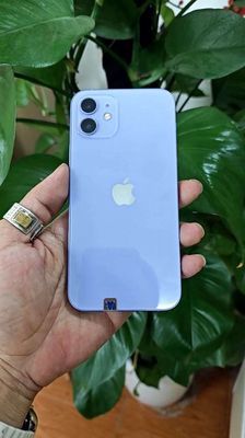 iPhone 12 tím, 128GB, pin 99%. Mua bán Điện thoại tại Thành phố Hòa Bình Hòa Bình được đăng bởi Hoàng Trường Nam
