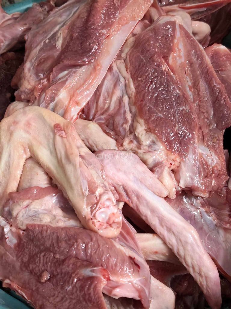 Xương gà vịt cổ cánh chân tươi. Mua bán Đồ ăn, thực phẩm và các loại khác tại Thành phố Thủ Dầu Một Bình Dương được đăng bởi hải linh hình 1
