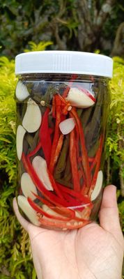 650g DƯA MUỐNG MUỐI CHUA. Mua bán Đồ ăn, thực phẩm và các loại khác tại Huyện Phong Điền Cần Thơ được đăng bởi An Thúy