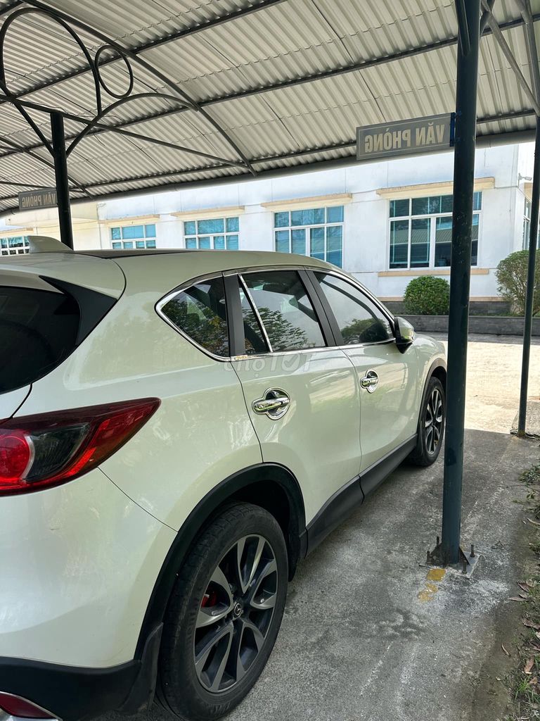 Ảnh số 7