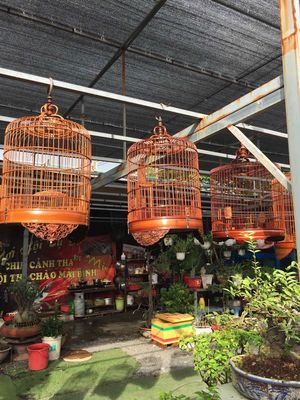 lồng chim. Mua bán Phụ kiện, Thức ăn, Dịch vụ tại Huyện Bình Chánh Tp Hồ Chí Minh được đăng bởi Đoan Văn Thành