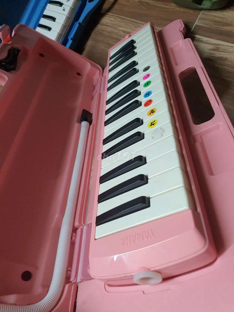 pas nhanh 3cay MelodicaNhật Bản . Mua bán Nhạc cụ tại Quận 7 Tp Hồ Chí Minh được đăng bởi Quagg hình 1