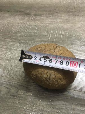Cần bán trứng hoá thạch. Mua bán Đồ sưu tầm, đồ cổ tại Quận Hà Đông Hà Nội được đăng bởi Quân