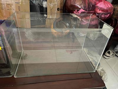 Thanh lý bể cá đúc 60cm. Mua bán Phụ kiện, Thức ăn, Dịch vụ tại Quận 10 Tp Hồ Chí Minh được đăng bởi Bethie 