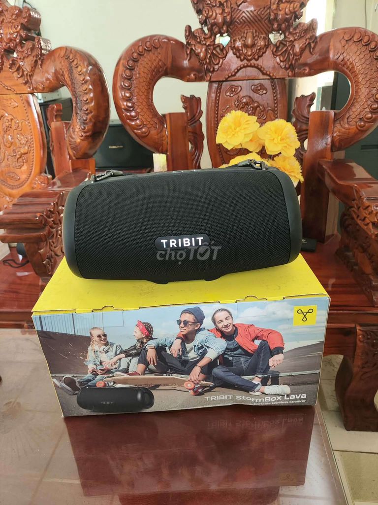 Loa Bluetooth Tribit Stormbox Lava Đen Đã sử dụng. Mua bán Tivi, Âm thanh tại Huyện Cái Bè Tiền Giang được đăng bởi Quốc Đạt hình 1