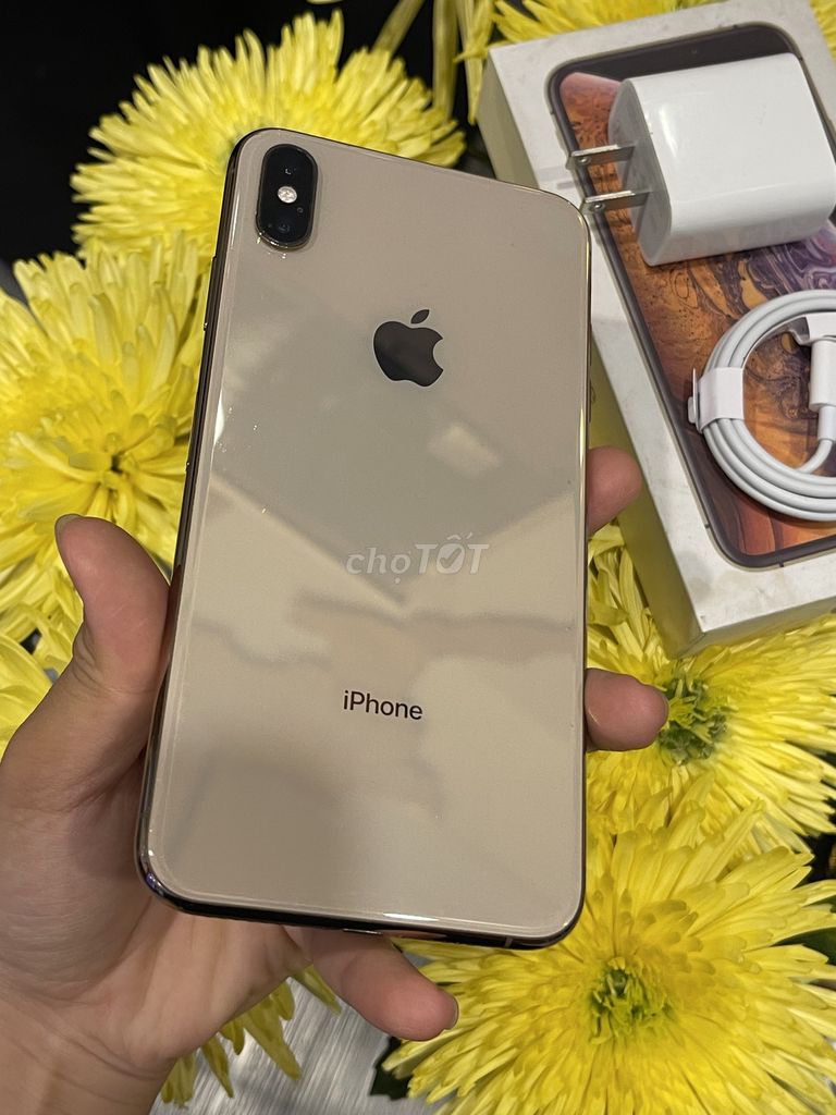 Apple iPhone XS Max 256GB Vàng đồng. Mua bán Điện thoại tại Quận Tân Bình Tp Hồ Chí Minh được đăng bởi Mi mi hình 1