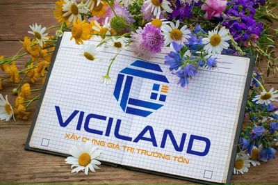 Công ty cổ phần đầu tư và phát triển Viciland logo