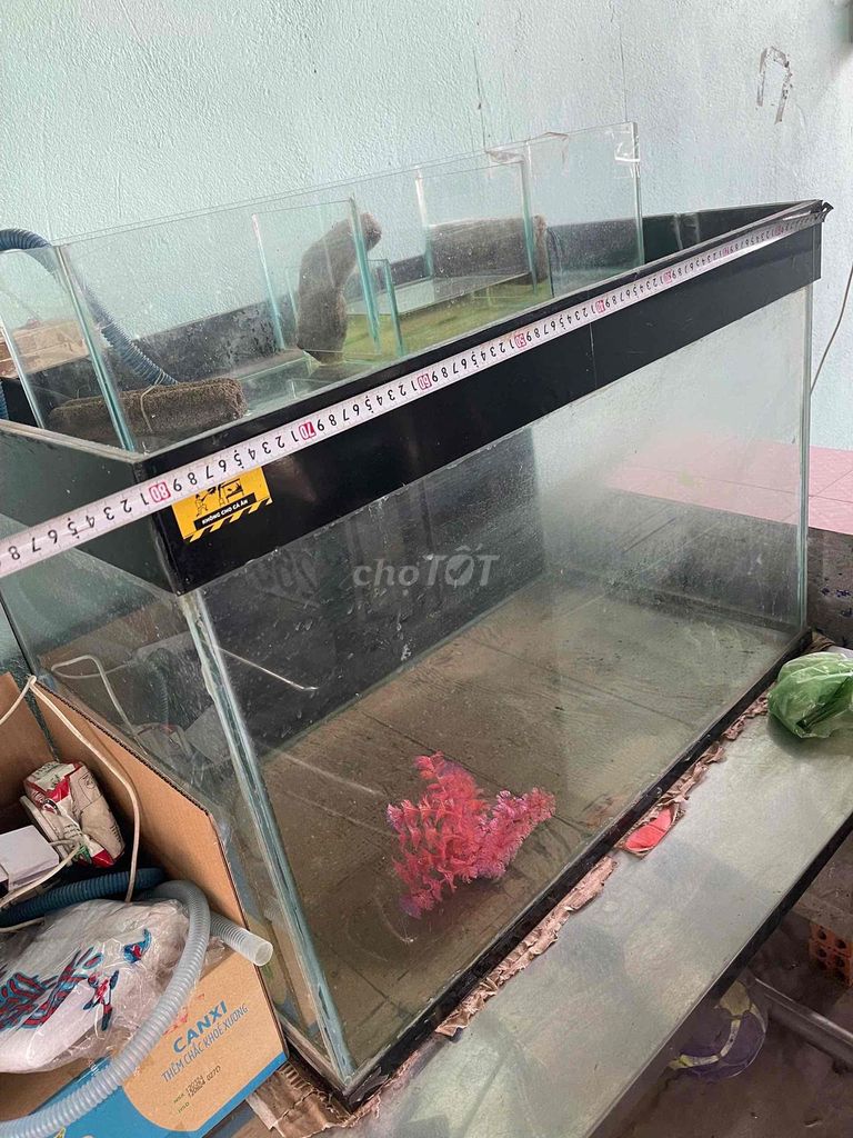 Cần bán 3 hồ cá dư dùng. Mua bán Phụ kiện, Thức ăn, Dịch vụ tại Thị xã Tân Uyên Bình Dương được đăng bởi Nguyễn Trung Hậu hình 1
