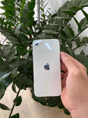 iPhone SE 2020 64GB Máy Đẹp. Mua bán Điện thoại tại Thành phố Thủ Đức Tp Hồ Chí Minh được đăng bởi Dương Giá Kho