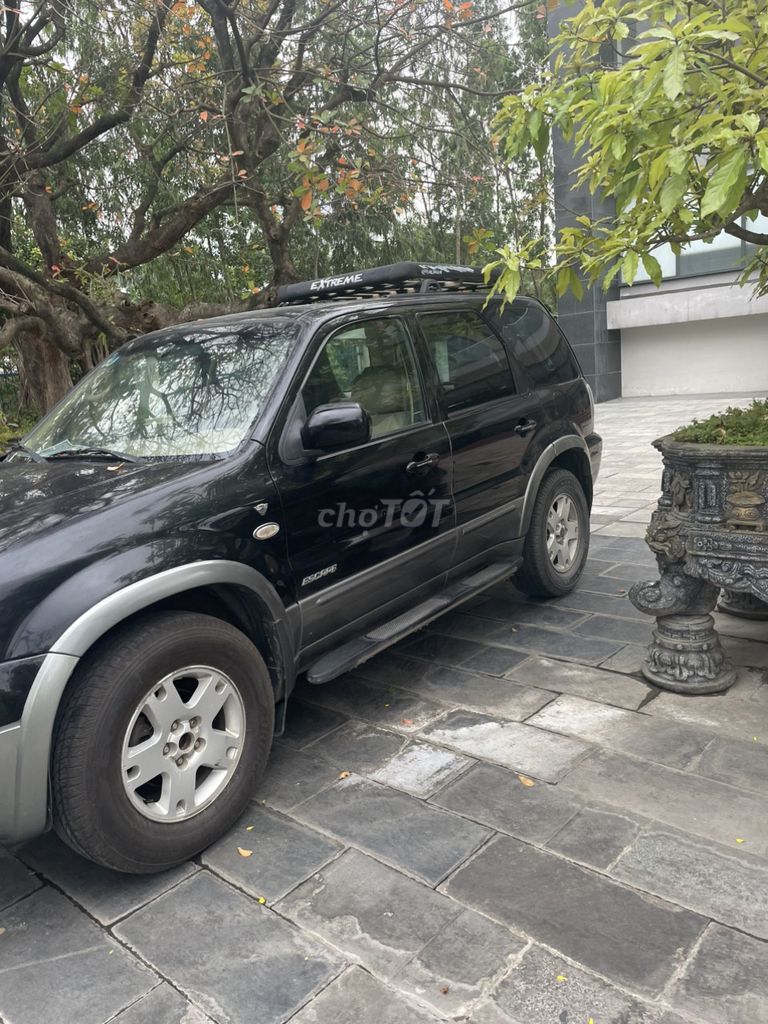 Ảnh số 8