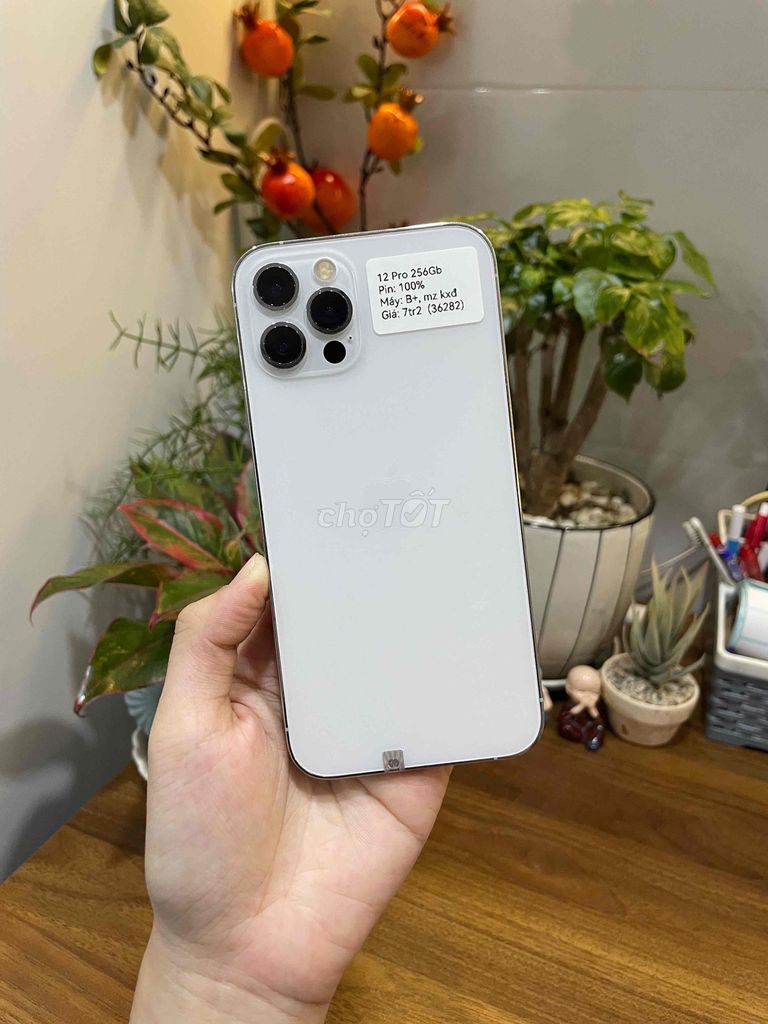 iPhone 12 Pro 256GB Trắng mz kxđ. Mua bán Điện thoại tại Huyện Hóc Môn Tp Hồ Chí Minh được đăng bởi Luân Hoài hình 1
