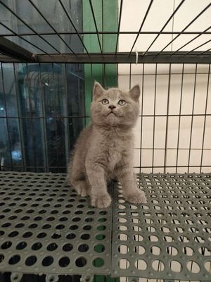 Ai yêu rước tụi em đi ạaaa🥰🥰