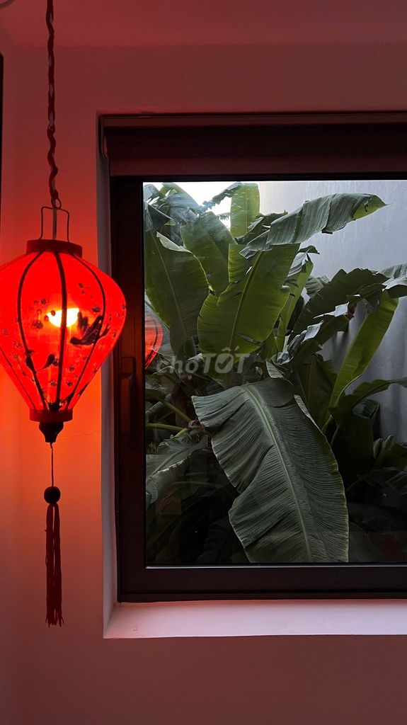 Bright new studio in the quiet Nam Việt Á area — photo 11