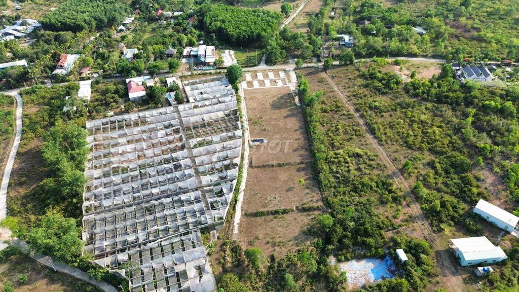 8100m2 đất trồng cây lâu năm mặt tiền đường nhựa gần mẹ ken farm