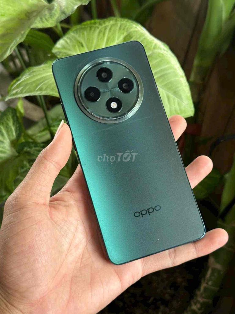 OPPO Reno 12F 8/256GB Màn thay LCD ko dùng vân tay. Mua bán Điện thoại tại Quận Ninh Kiều Cần Thơ được đăng bởi NP Store hình 1
