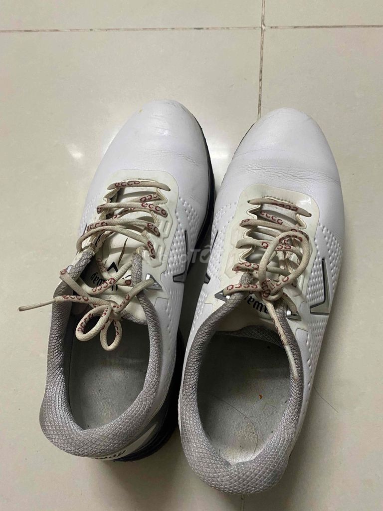 Giày golf Callaway chính hãng. Mua bán Giày dép tại Huyện Bình Chánh Tp Hồ Chí Minh được đăng bởi Minh Tú hình 1