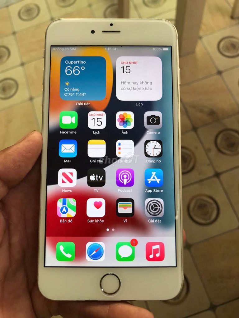 iPhone 6s Plus quốc tế 16gb pin 100% màn rin đẹp. Mua bán Điện thoại tại Thành phố Mỹ Tho Tiền Giang được đăng bởi QUÍT ĐƯỜNG SIÊU NGỌT  hình 1