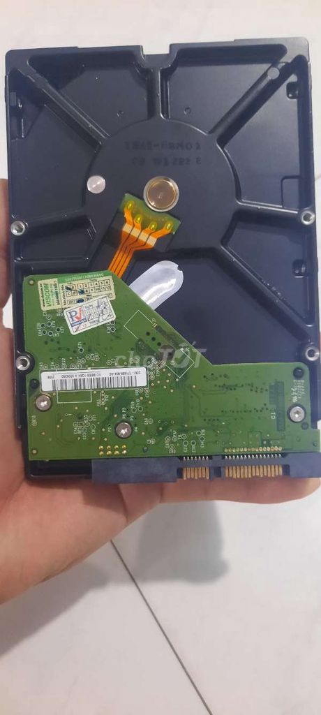 Ổ cứng HDD Western Digital WD10EARX 1TB. Mua bán Linh kiện (RAM, Card...) tại Quận 12 Tp Hồ Chí Minh được đăng bởi Nội Thất Ngôi Nhà Xanh  hình 1