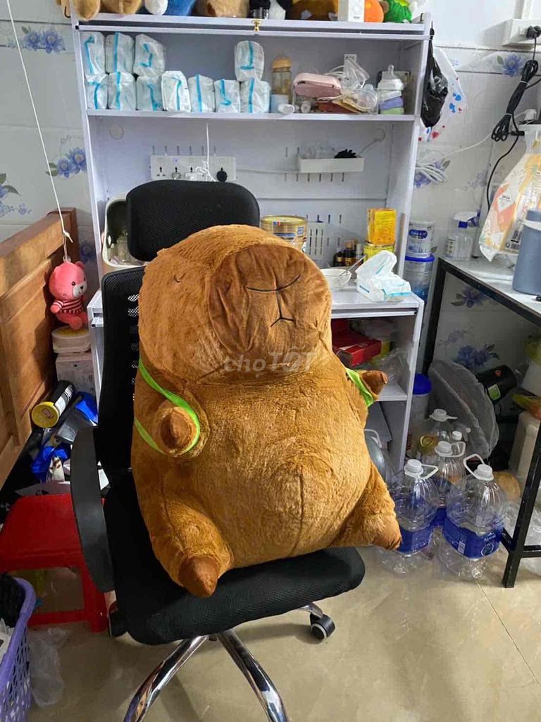 CAPYBARA MỚI 100% hàng tặng phẩm. Mua bán Sở thích khác tại Quận Bình Thuỷ Cần Thơ được đăng bởi Khoa hình 1