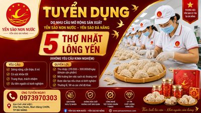 YẾN SÀO NON NƯỚC logo