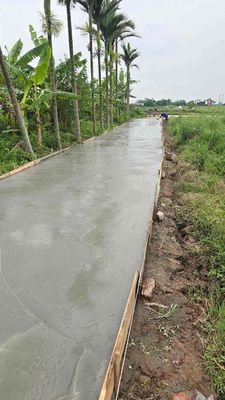 Đất thổ cư 350m2 thôn Thanh Trì, xã Kiến Thiết, Tiên Lãng 900 triệu. Mua bán đất tại Huyện Tiên Lãng Hải Phòng được đăng bởi Nguyễn Văn Thành