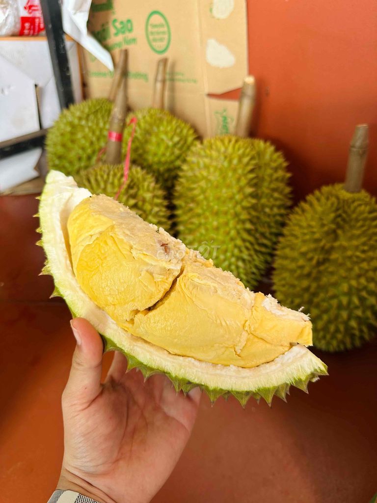 Sầu riêng Ri6 Đắk Lắk Chín tự nhiên Vàng. Mua bán Đồ ăn, thực phẩm và các loại khác tại Quận 10 Tp Hồ Chí Minh được đăng bởi Phương Thuý Bùi hình 1