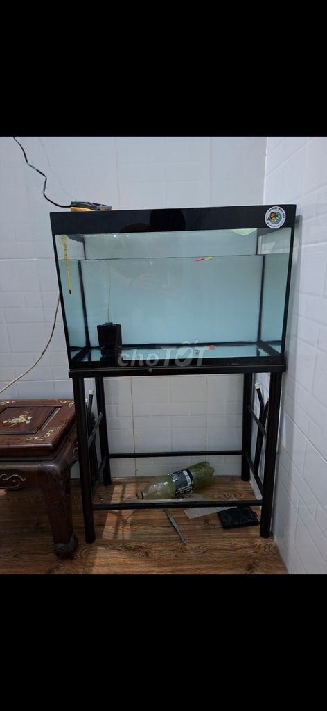 Bể cá cảnh 60x30x40 cm. Mua bán Phụ kiện, Thức ăn, Dịch vụ tại Thành phố Thuận An Bình Dương được đăng bởi Hai Tran hình 1
