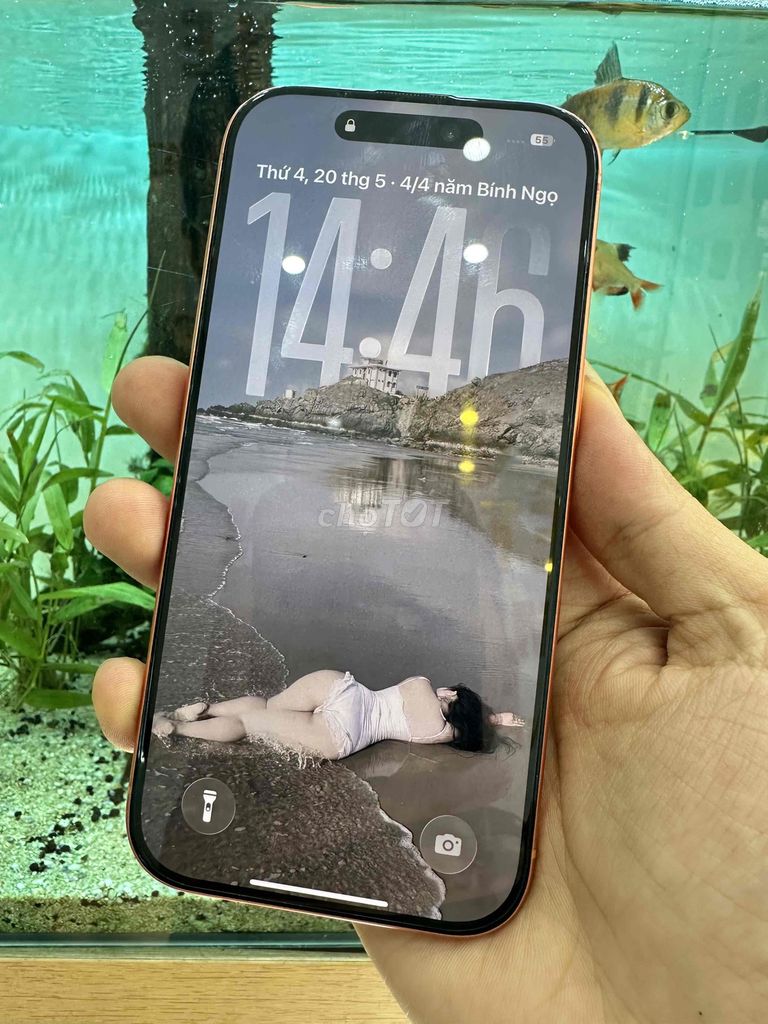 iPhone 17 Pro 256GB Cam. Mua bán Điện thoại tại Quận Lê Chân Hải Phòng được đăng bởi việt hình 1