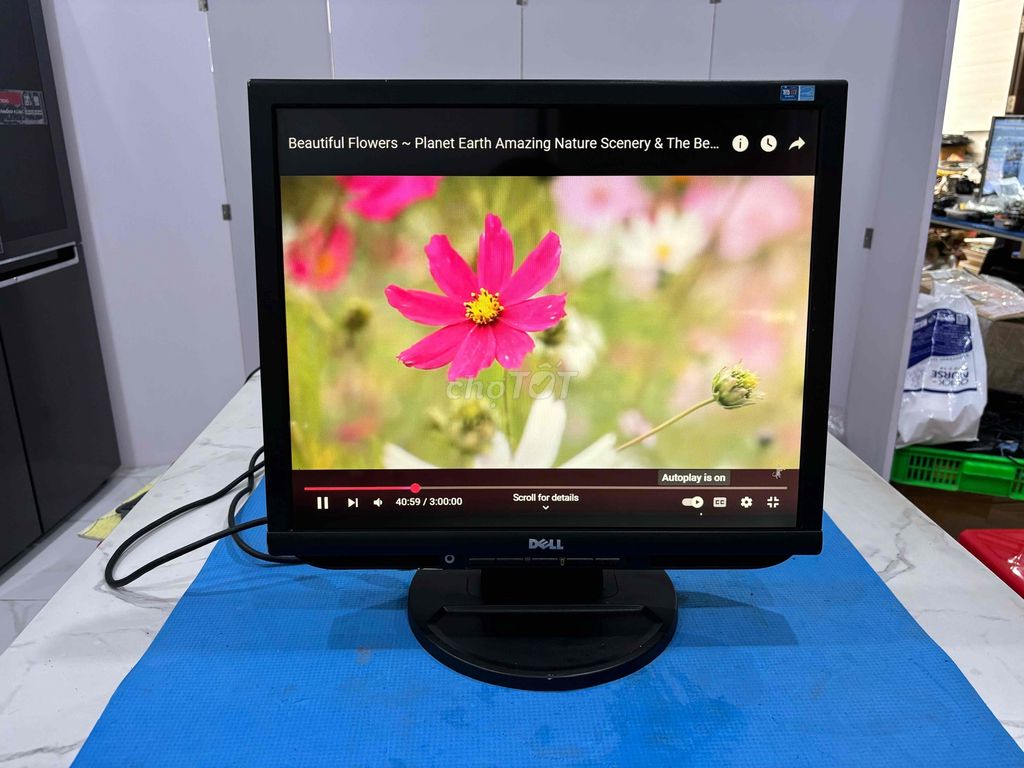 Màn hình Dell 19inch LCD vuông