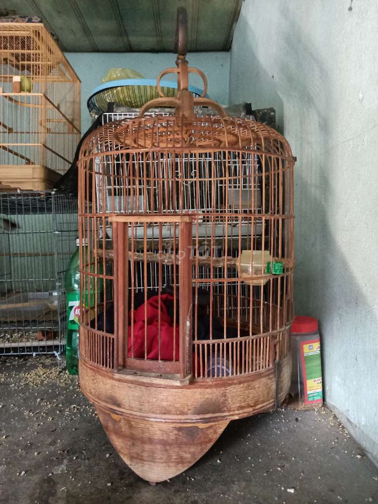 Lồng chim tre 35 Nâu. Mua bán Phụ kiện, Thức ăn, Dịch vụ tại Huyện Bình Chánh Tp Hồ Chí Minh được đăng bởi Bằng Lê Hữu hình 1