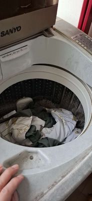 Bán máy giặt SANYO lồng đứng 8kg. Mua bán Máy giặt tại Huyện Thanh Trì Hà Nội được đăng bởi Bien Cuop