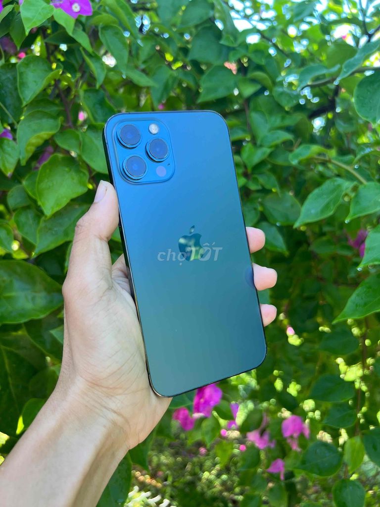 Apple iPhone 12 Pro Max 256GB 98%. Mua bán Điện thoại tại Quận Sơn Trà Đà Nẵng được đăng bởi Thanh Phước mobile hình 1