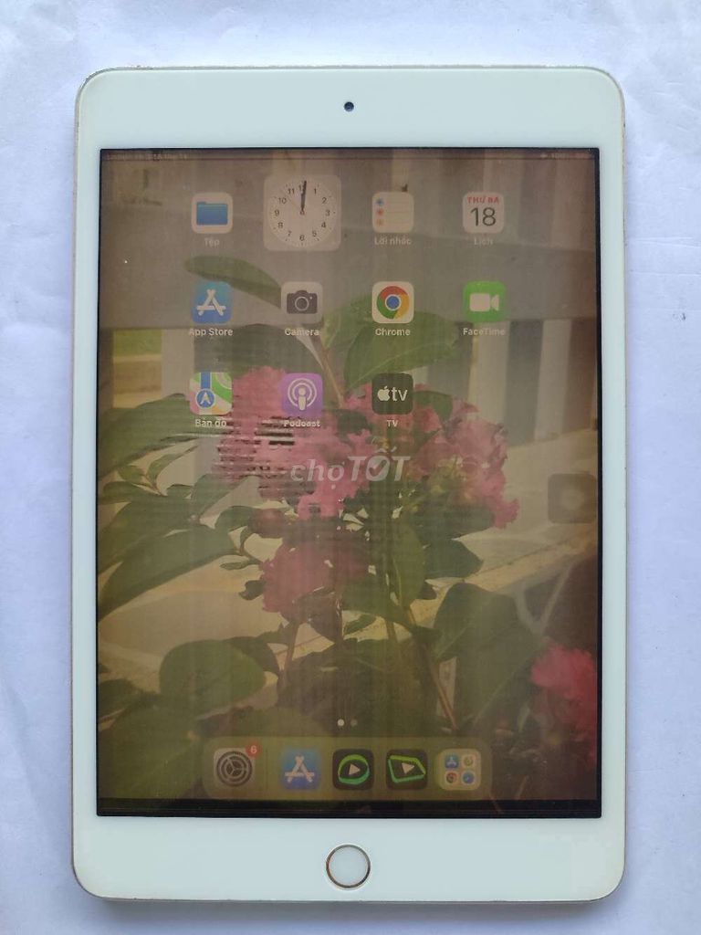 IPAD MINI  4 MÀU GOLD ,MÀN HÌNH SỌC. Mua bán Máy tính bảng tại Quận Gò Vấp Tp Hồ Chí Minh được đăng bởi Đồ cũ dư bán rẻ hình 1
