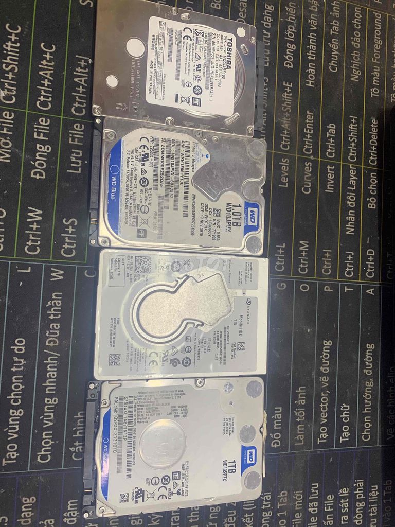 Ổ cứng Western Digital 1TB 5400 RPM. Mua bán Linh kiện (RAM, Card...) tại Huyện An Lão Hải Phòng được đăng bởi acc min hình 1