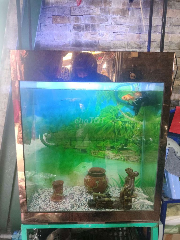 Bể cá, hồ cá cảnh Kính 90x80x50cm. Mua bán Phụ kiện, Thức ăn, Dịch vụ tại Quận Tân Bình Tp Hồ Chí Minh được đăng bởi Le Hung hình 1