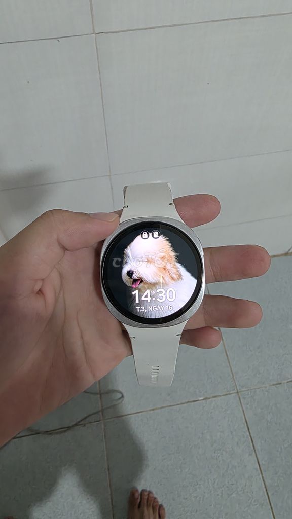 Samsung Galaxy Watch 8 44mm GPS Trắng. Mua bán Thiết bị đeo thông minh tại Thành phố Thuận An Bình Dương được đăng bởi Hoàng Anh hình 1